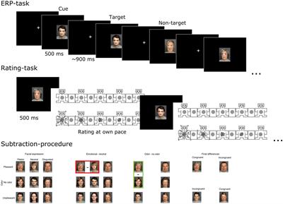 Background Odors Modulate N170 ERP Component and Perception of Emotional Facial Stimuli